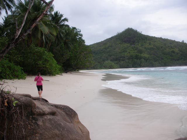 der-lange-strand-bay-lazare-und-die-berge-mit-urwald