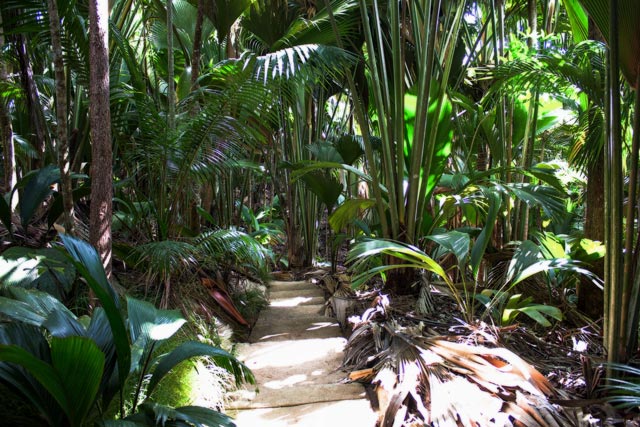 ein-weg-durch-den-natupark-vallee-de-mai