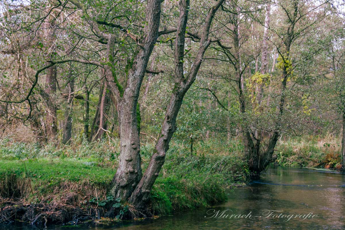 die-este-am-este-wanderweg