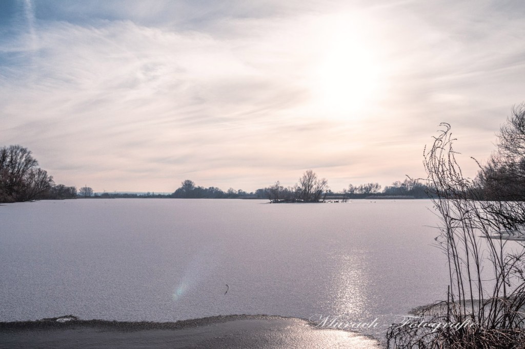 gefrorene-alte-suederelbe