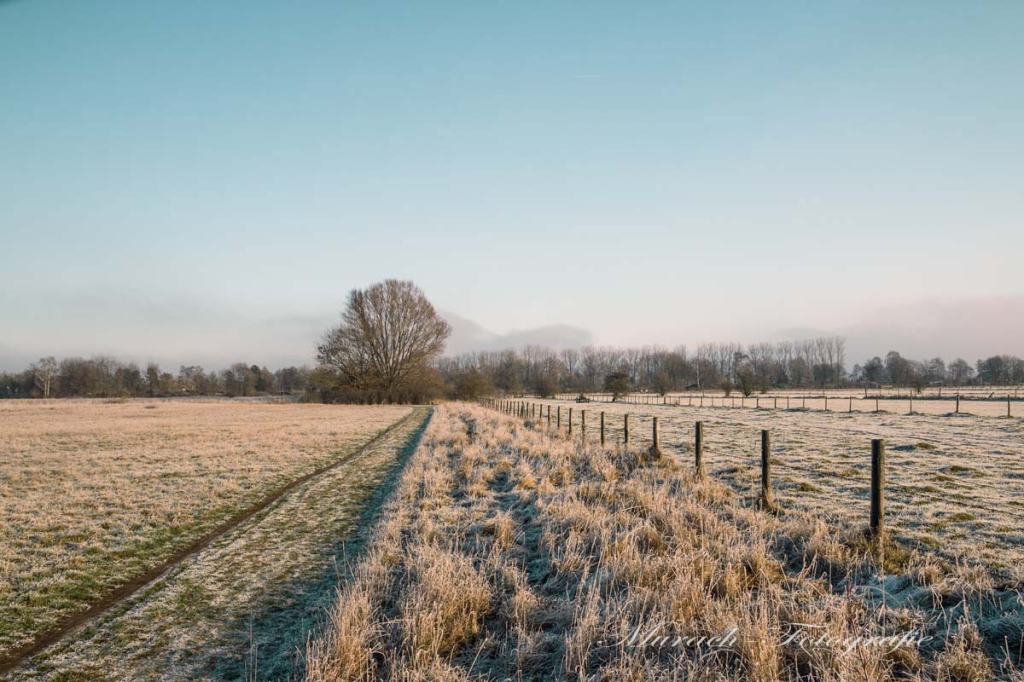 gefrorene-westerweiden