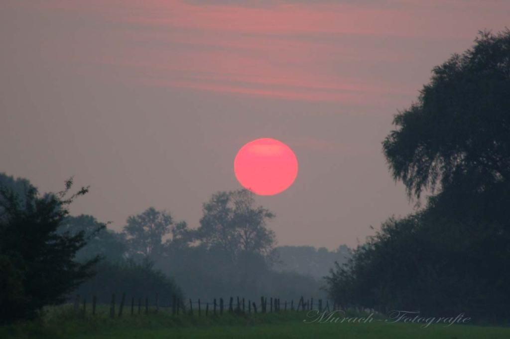 oranger-sonnenuntergang-