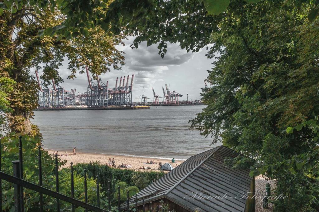 der-blick-durch-baeume-auf-elbstrand-und-hafen