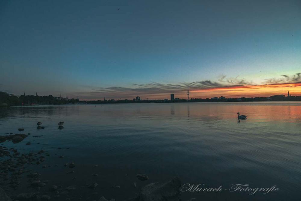 skyline-der-alster-zur-blauen-stunde