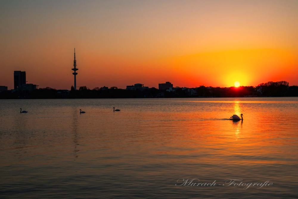 sonnenuntergang-an-der-alster-mit-schwaene