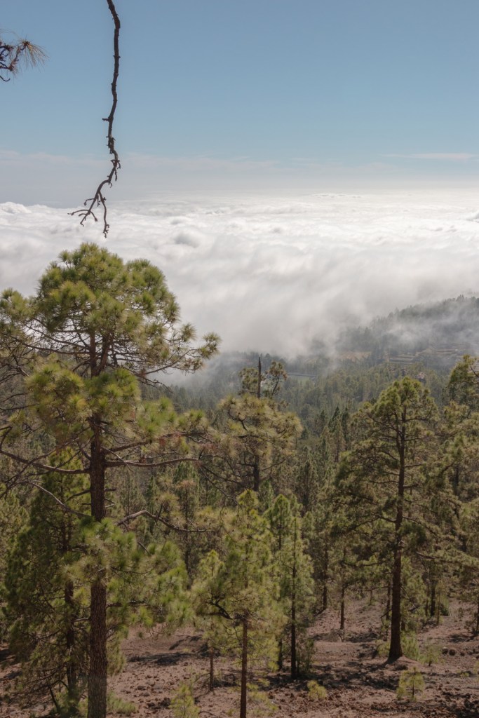 berg-auf-teneriffa-murach-fotografie