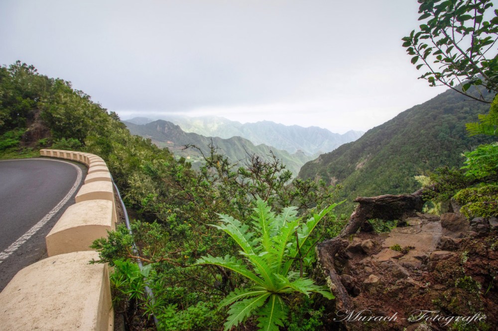 eine-strasse-in-den-bergen-auf-teneriffa-hamburg-wandbild