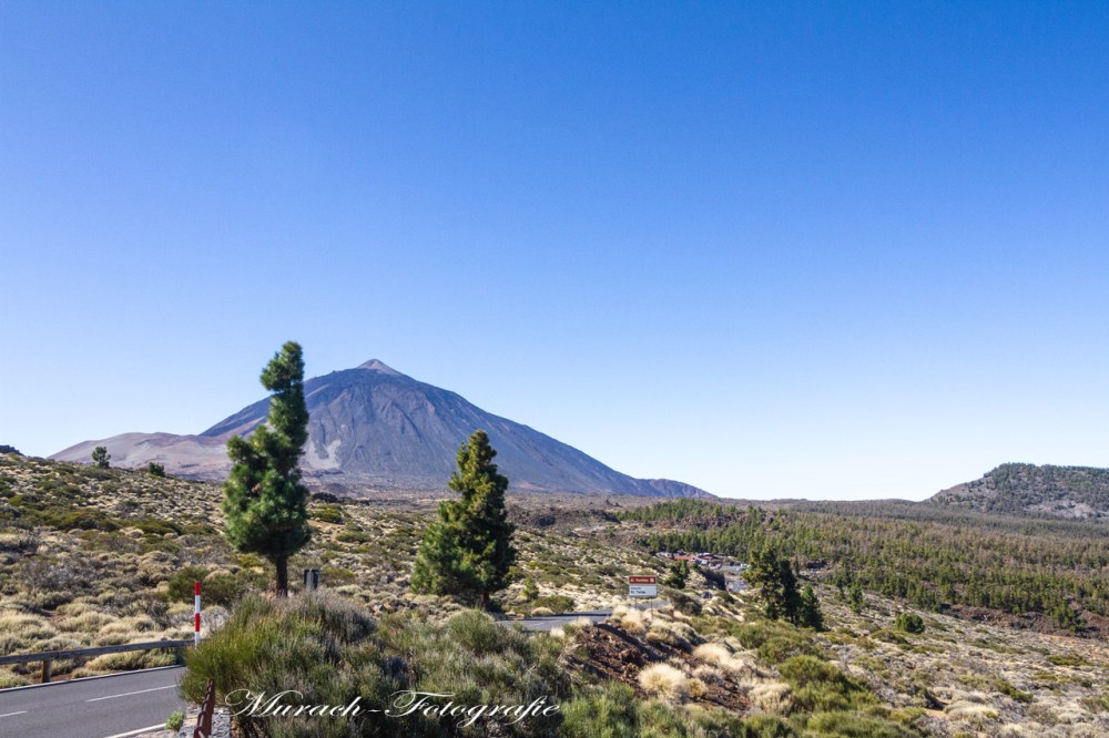 landstrasse-in-den-bergen-teneriffa-hamburg-wandbild