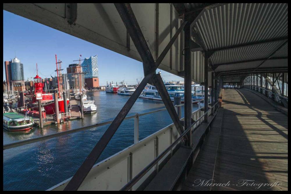 blick-von-ueberseebruecke-auf-baumwall-murach-fotografie