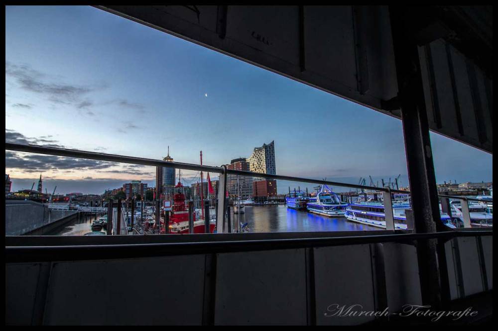 blick-von-ueberseebrueckeauf-baumwall-murach-fotografie