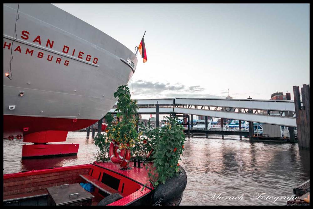 die-cap-sandiego-und-ueberseebruecke-murach-fotografie