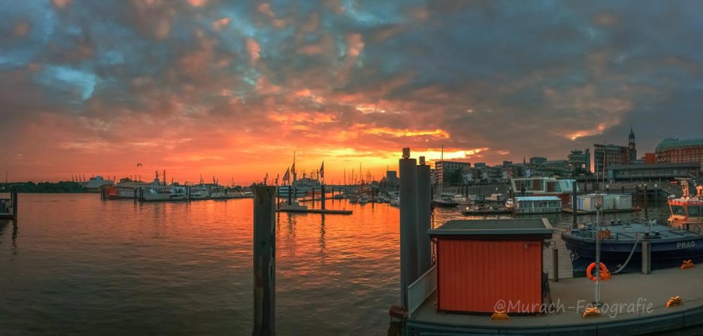 sonnenuntergang-am-baumwall-murach-foiografie
